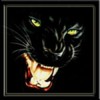 iqidumo's Avatar